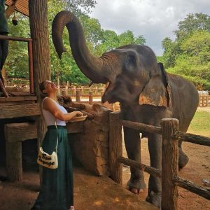 Medical elective in India