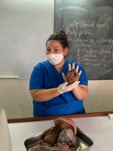 Medical Internship abroad