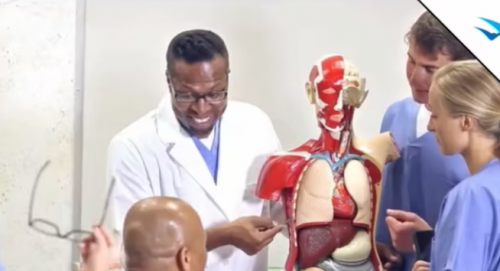 medical-interns-associates